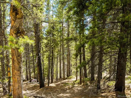 $80,000 | 9 Rainbow Road, Idaho Springs, CO 80452