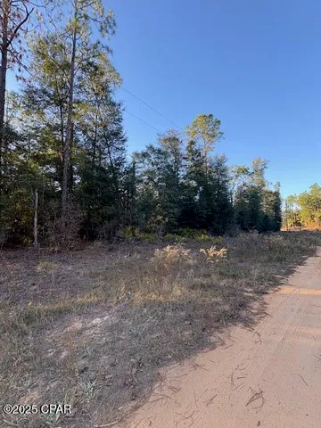 $14,900 | Lot #1 Arpana Circle, Alford, FL 32420