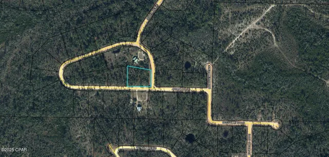 $14,900 | Lot #1 Arpana Circle, Alford, FL 32420