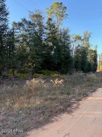 $14,900 | Lot #1 Arpana Circle, Alford, FL 32420