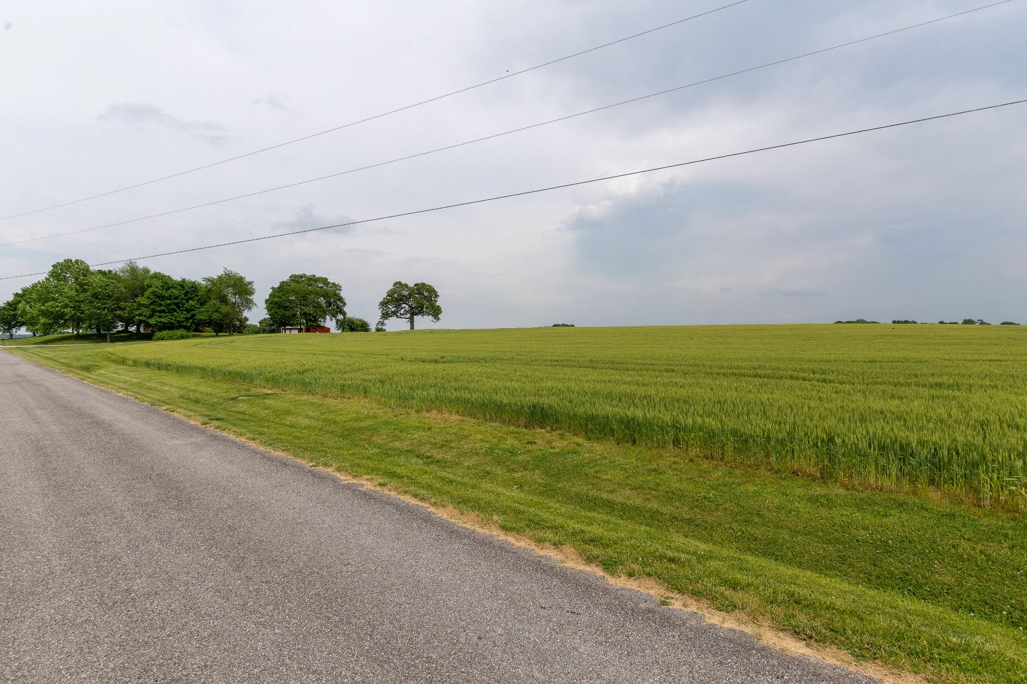 5845 Cook Road Orlinda, TN 37141 - Photo 35 of 35 Gallery Image 35