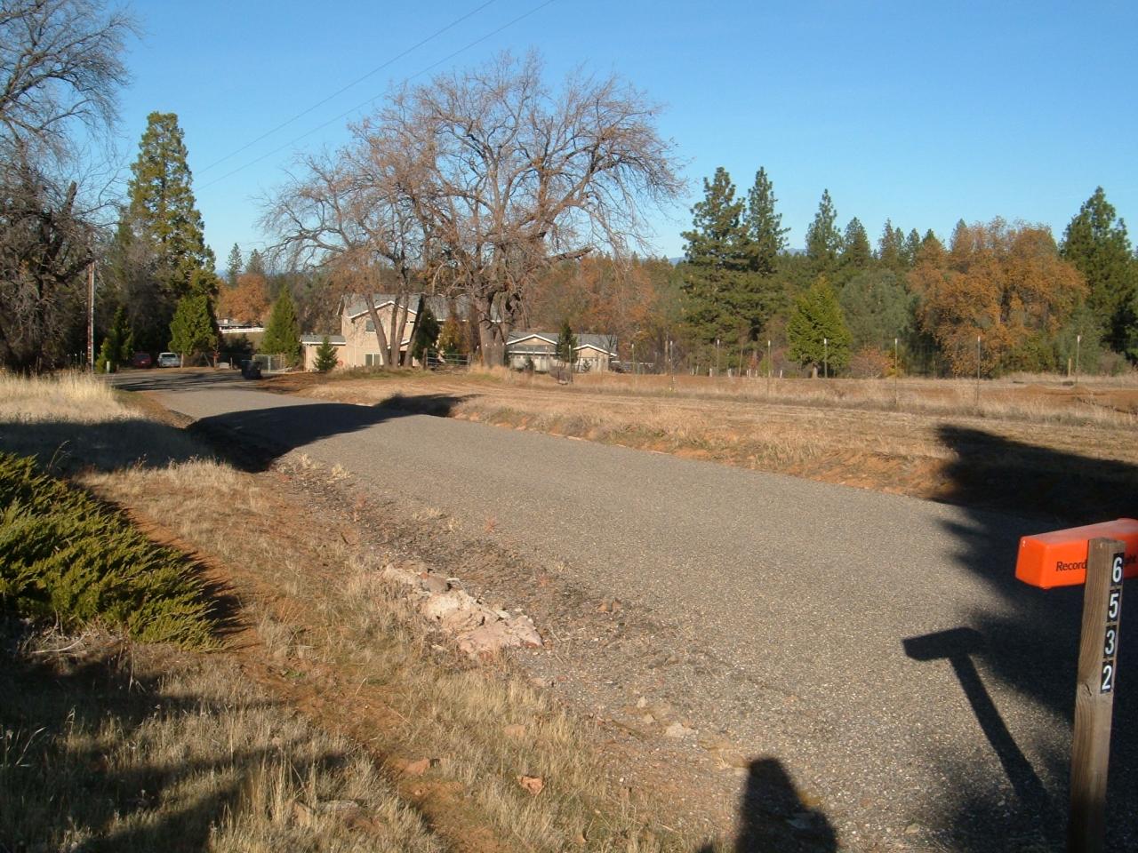 6532 Hummingbird Court Shingletown, CA 96088 - Photo 31 of 32 Down the Street North