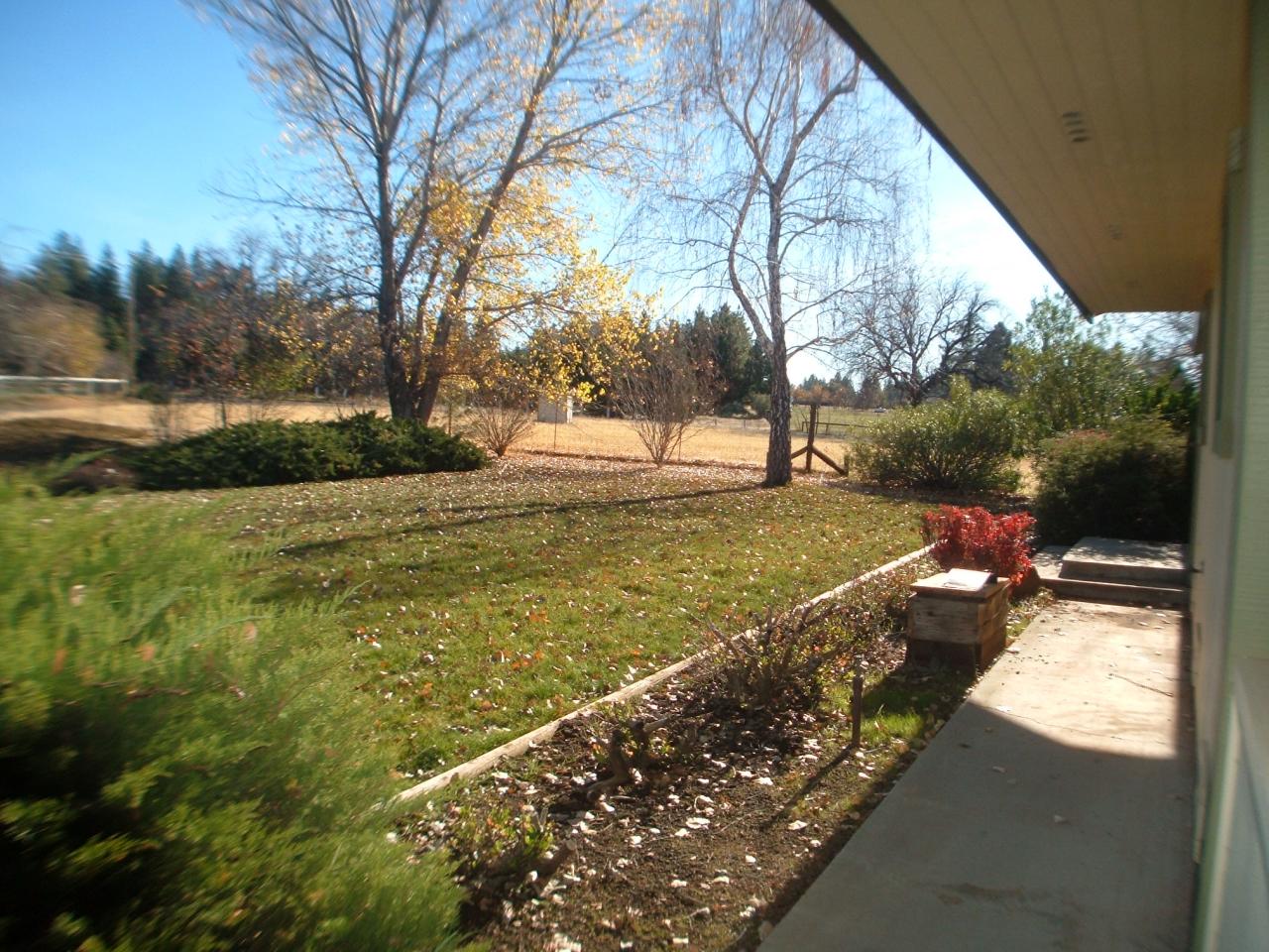 6532 Hummingbird Court Shingletown, CA 96088 - Photo 5 of 32 Front Yard