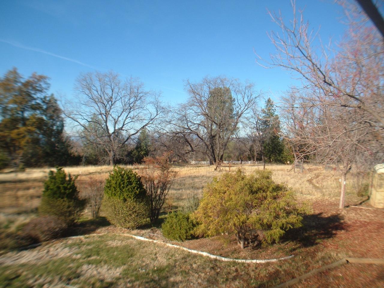 6532 Hummingbird Court Shingletown, CA 96088 - Photo 9 of 32 Back Yard 2