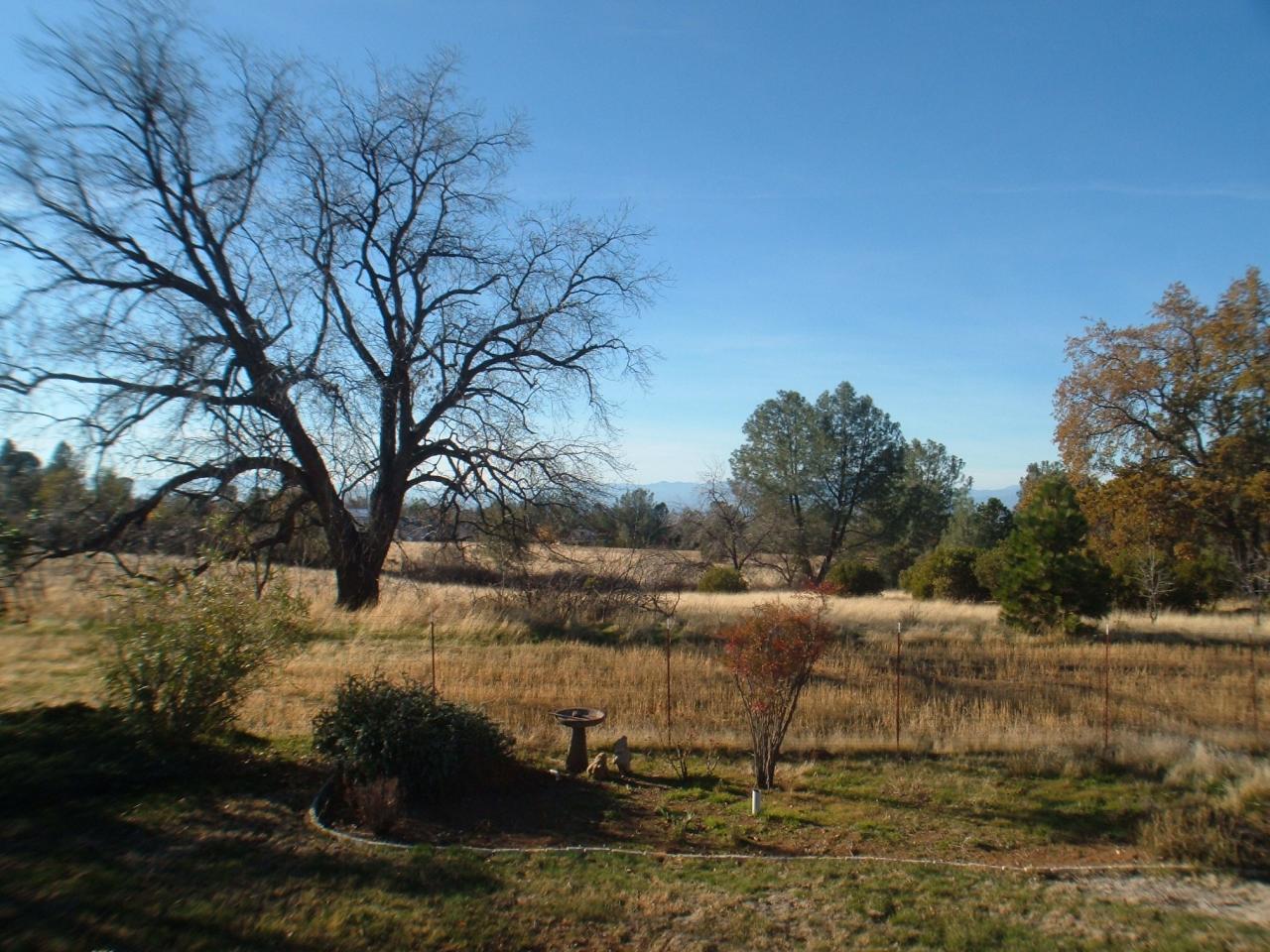 6532 Hummingbird Court Shingletown, CA 96088 - Photo 10 of 32 Back Yard 3