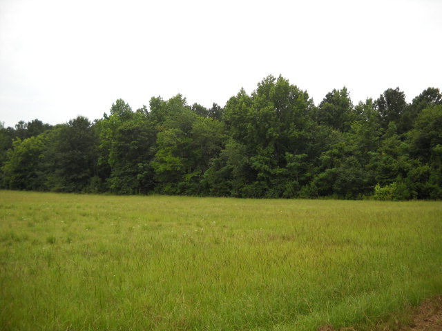 Lot B Lot B Off Deschamp Road Sumter, SC 29150 - Photo 1 of 1 Gallery Image 1