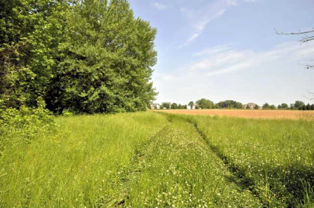 1279 Dudley Road Clarksville, TN 37043 - Photo 1 of 1 Bring your house plans! Build your dream home on this beautiful acreage.