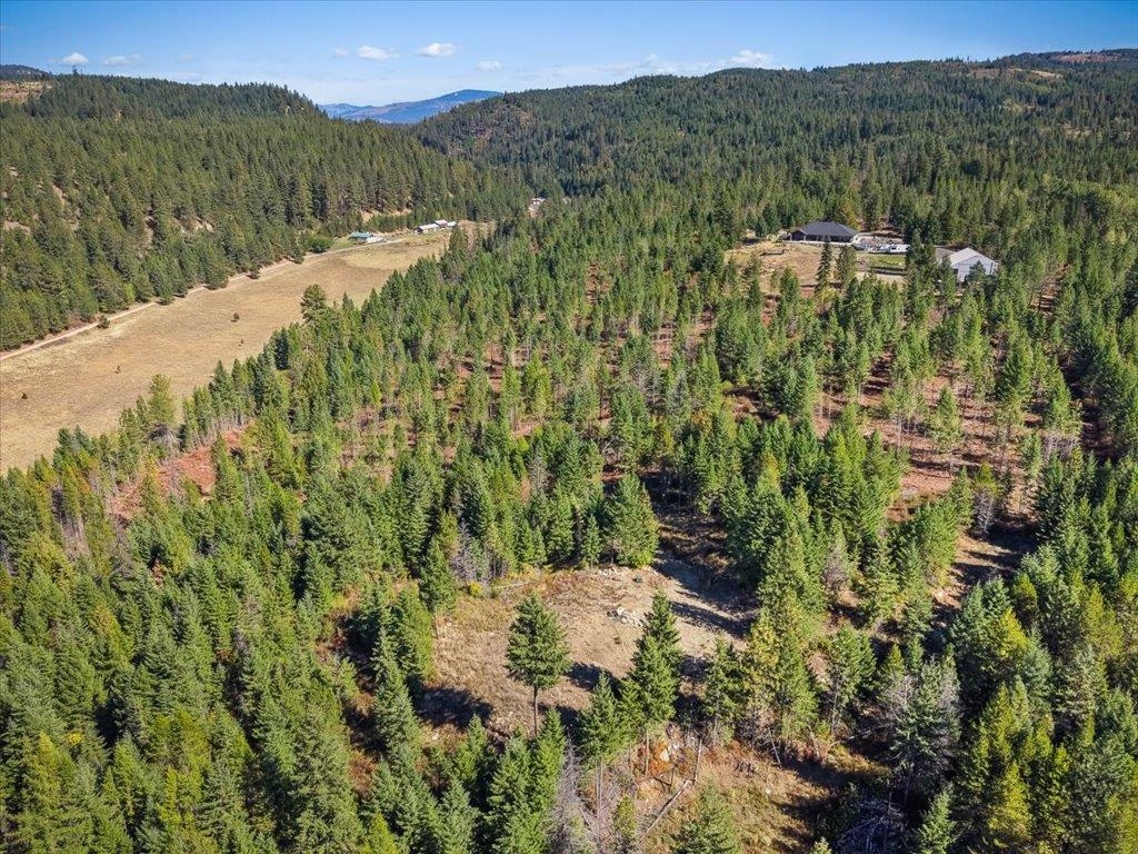 10313 Spring Valley Road Elk, WA 99009 - Photo 26 of 28 Gallery Image 26