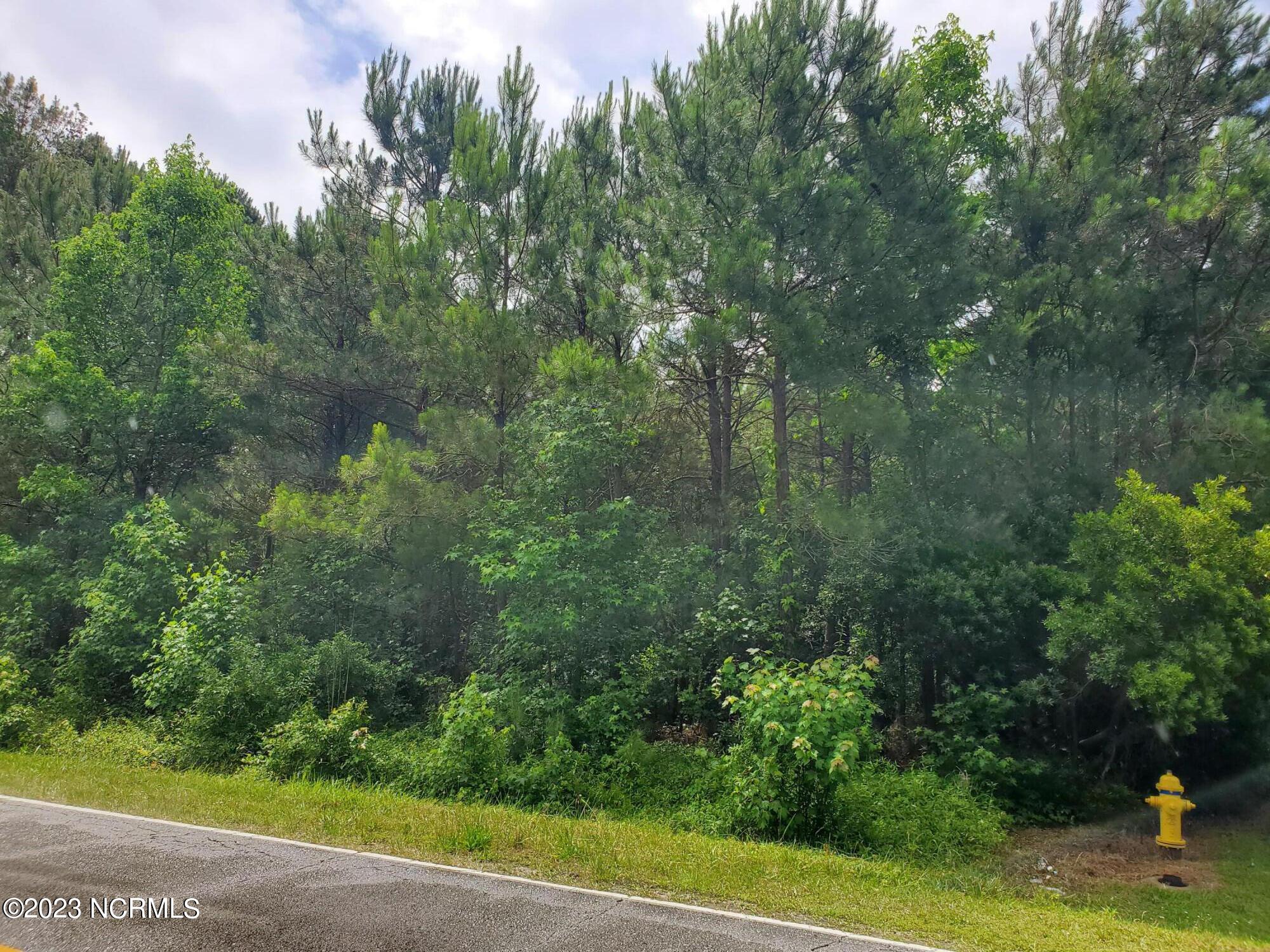 861 Cedar Grove