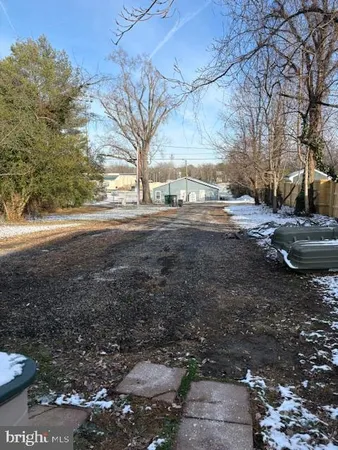 a view of a yard with a large tree
