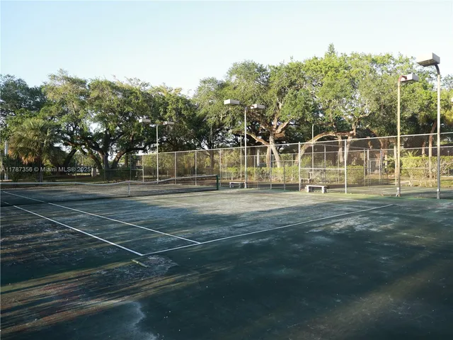 a view of a tennis ground with large trees
