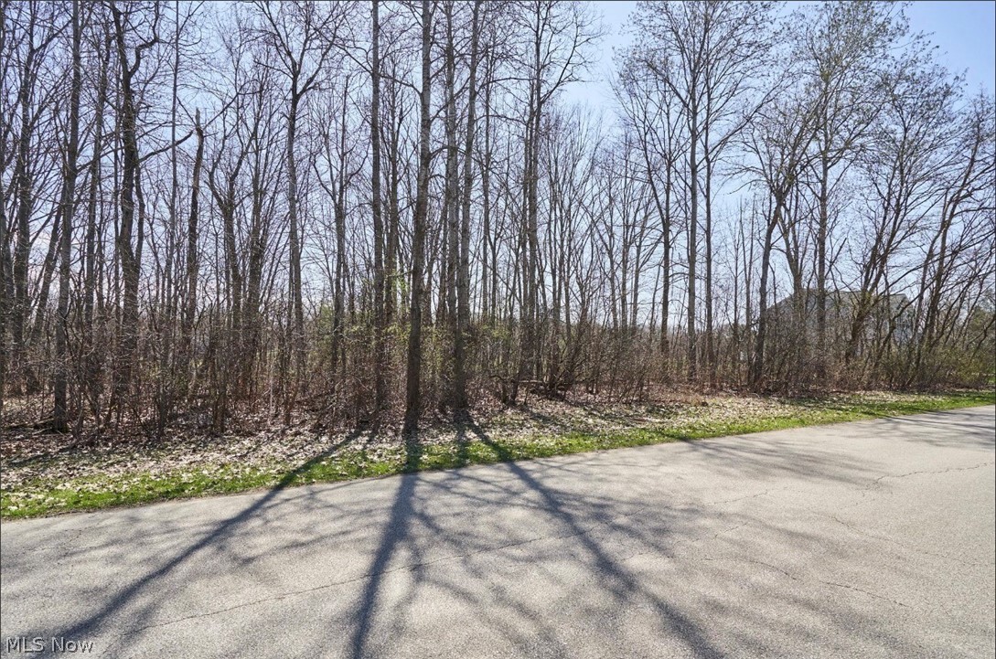 Callender Road Rock Creek, OH 44084 - Photo 5 of 15 View of road