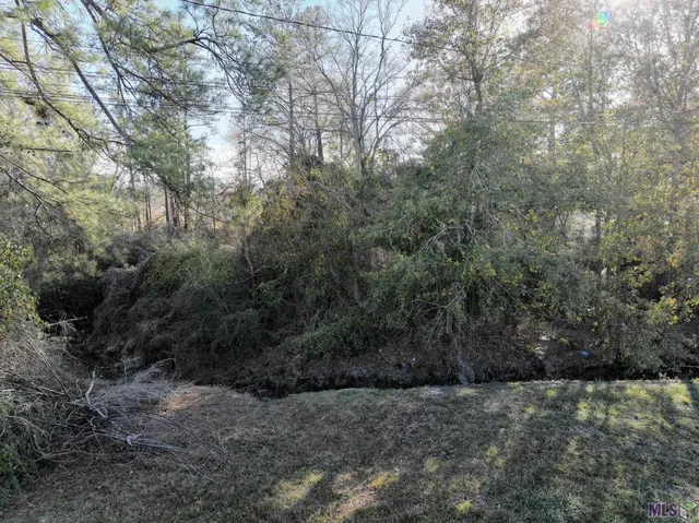 $80,000 | 30575 Highway 16, Denham Springs, LA 70726