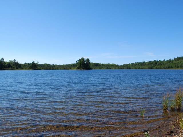 6389 Swallow Road Lake Tomahawk, WI 54539 - Photo 16 of 19 Gallery Image 16
