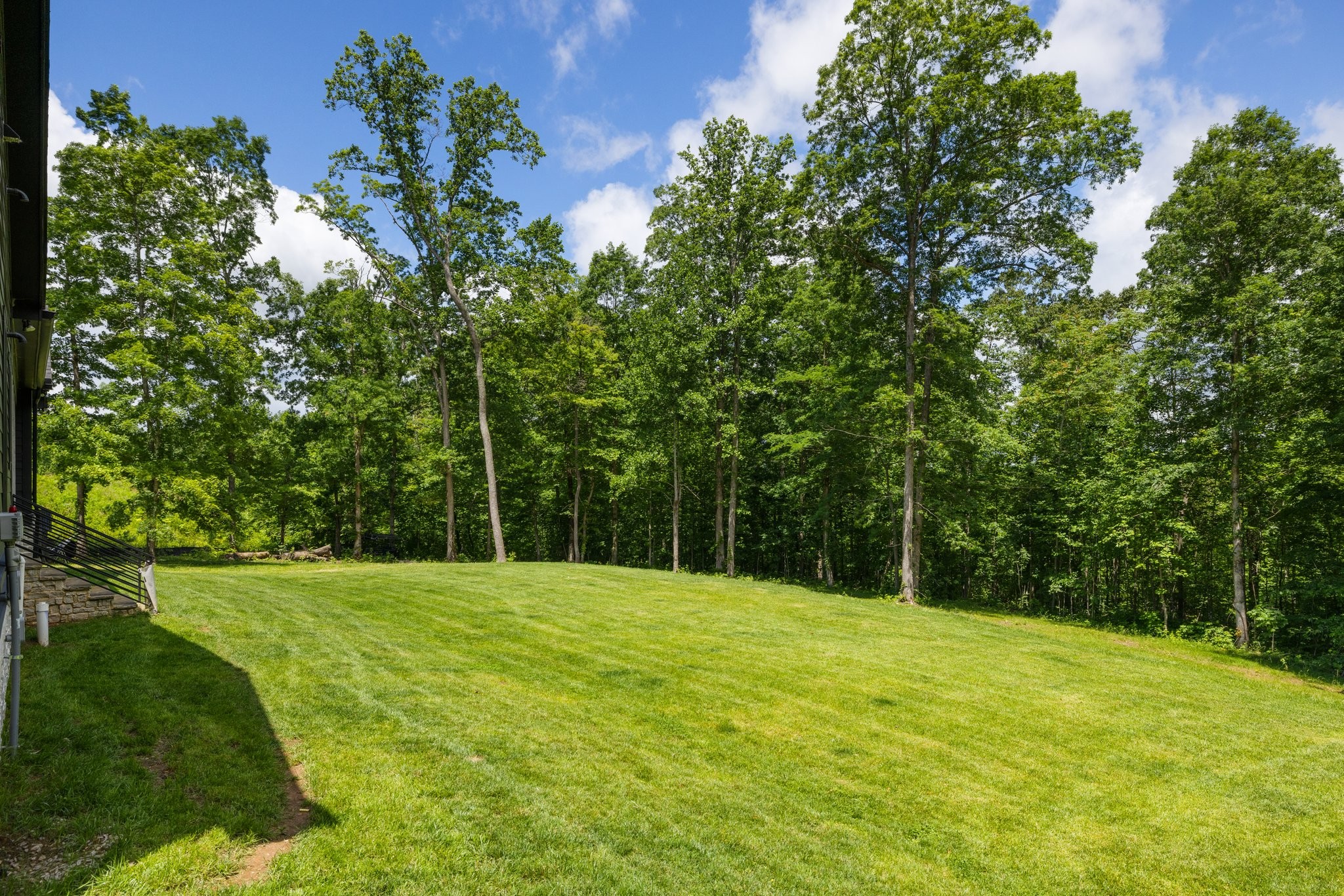 5024 Cobbler Ridge Road Franklin, TN 37064 - Photo 50 of 58 a backyard of a house with lots of green space