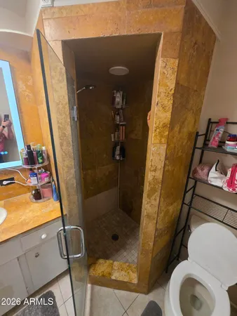 a bathroom with a shower and toilet