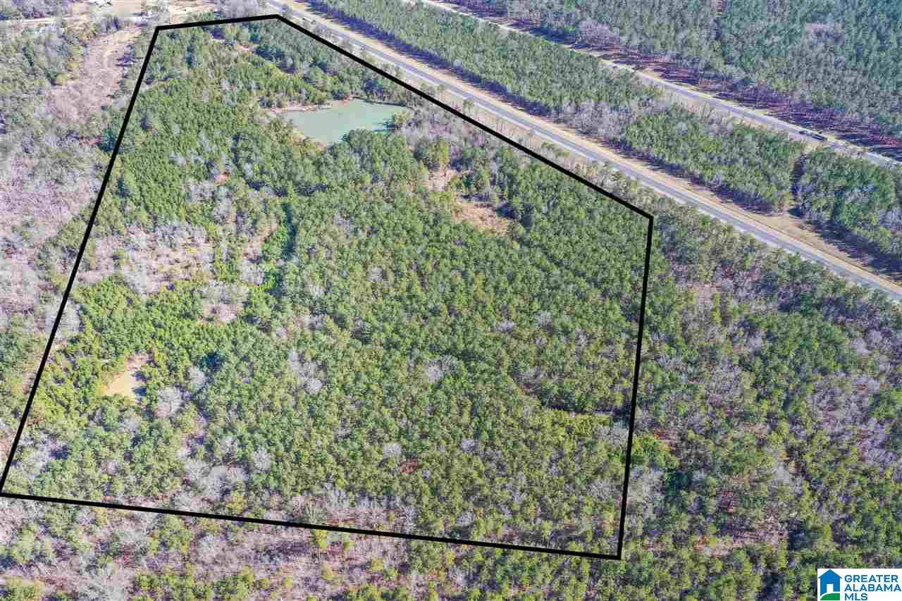 0 Barron Street Steele, AL 35987 - Photo 2 of 14