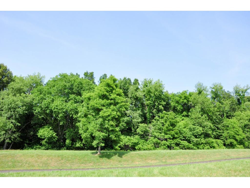 Lot 8 Deer Ridge Butler, TN 37640 - Photo 13 of 13 Photo 13
