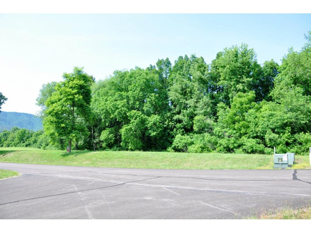 Lot 8 Deer Ridge Butler, TN 37640 - Photo 5 of 13 Woods in Back of Lot Privacy