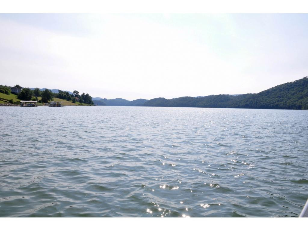 Lot 8 Deer Ridge Butler, TN 37640 - Photo 6 of 13 Among Cleanest Lakes Anywhere