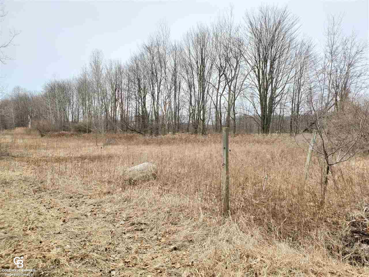 8106 Kilgore Road Avoca, MI 48006 - Photo 4 of 7