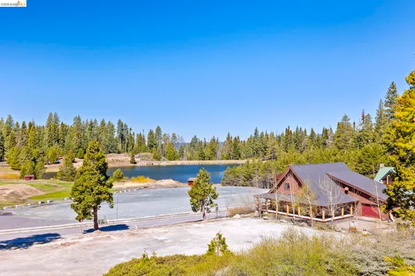 a view of a lake with a yard and large trees
