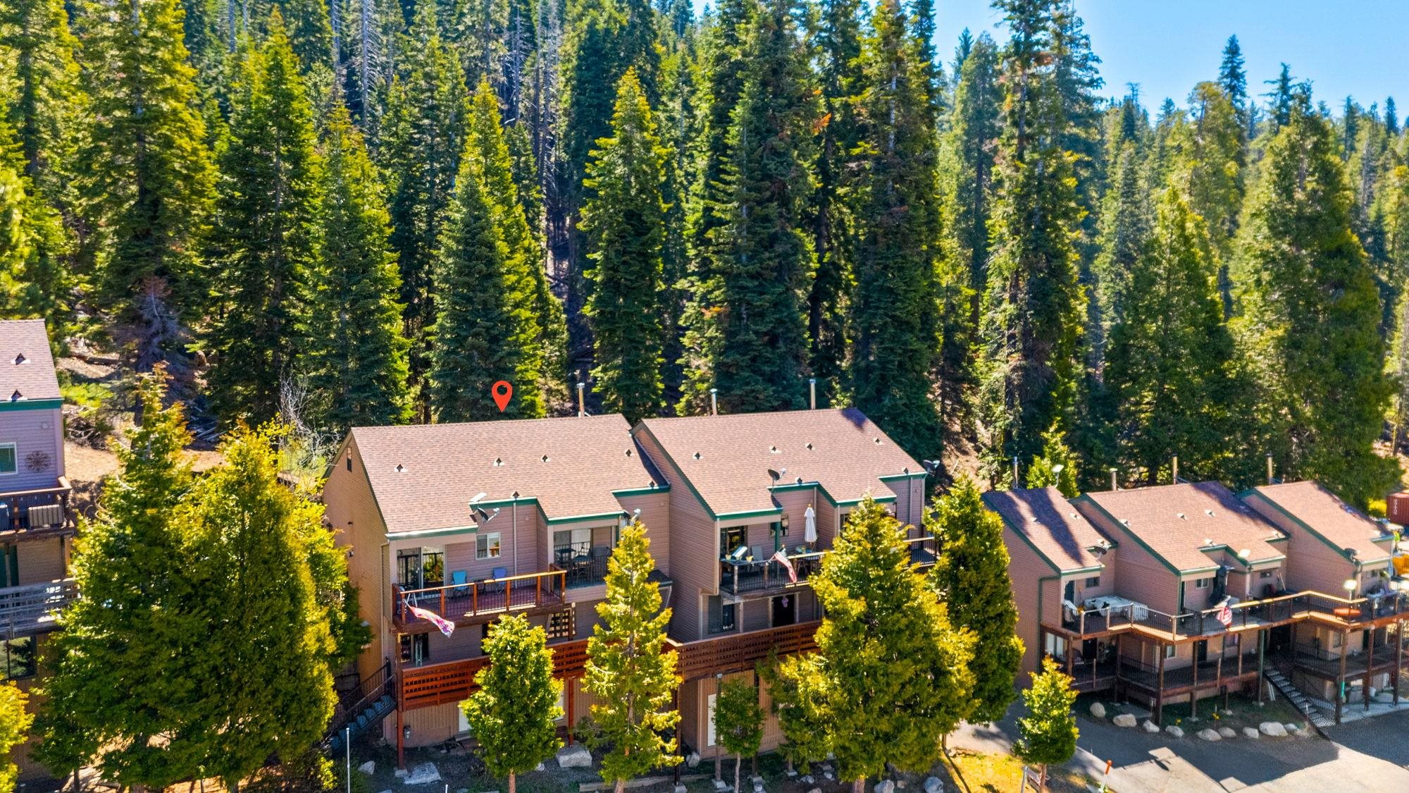 33757 Upper Leland Road, Unit B Pinecrest, CA 95364 - Photo 31 of 39 an aerial view of a house with swimming pool and garden