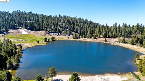 a view of a swimming pool and lounge chairs