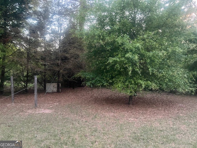 9742 South Sparta Davisboro Road Warthen, GA 31094 - Photo 15 of 39 a view of a forest with trees in the background