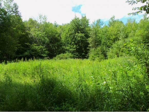 Bix Road Stockbridge, VT 05772 - Photo 1 of 1