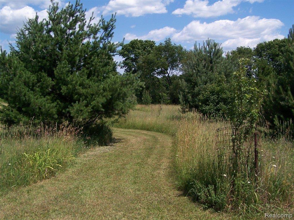 11680 Milford Road Holly, MI 48442 - Photo 10 of 25 Very private.JPG