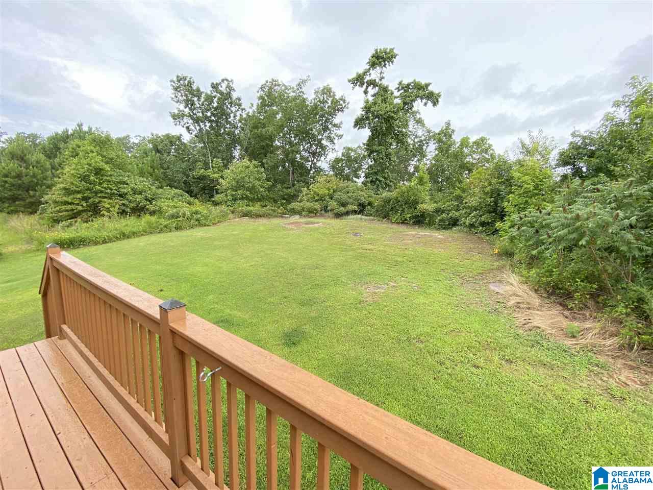 220 Legacy Ridge East Springville, AL 35146 - Photo 11 of 50