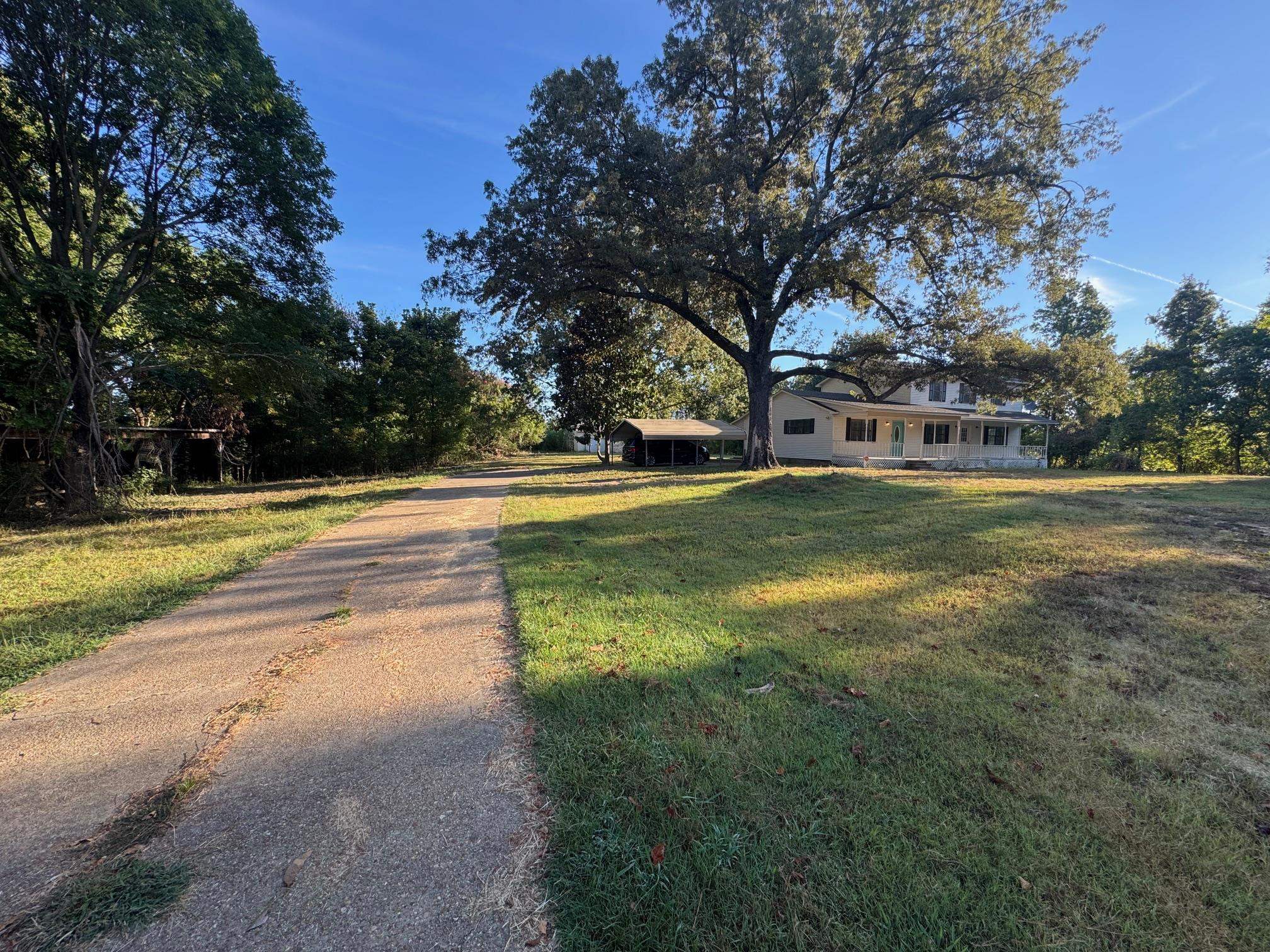 1112 Shoaf Road Covington, TN 38019 - Photo 3 of 17 View of road with view of wooded area