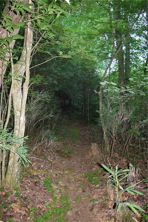 7024 Watershed Road Morganton, NC 28655 - Photo 15 of 19 Gallery Image 15