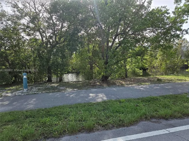 a view of a yard with a tree