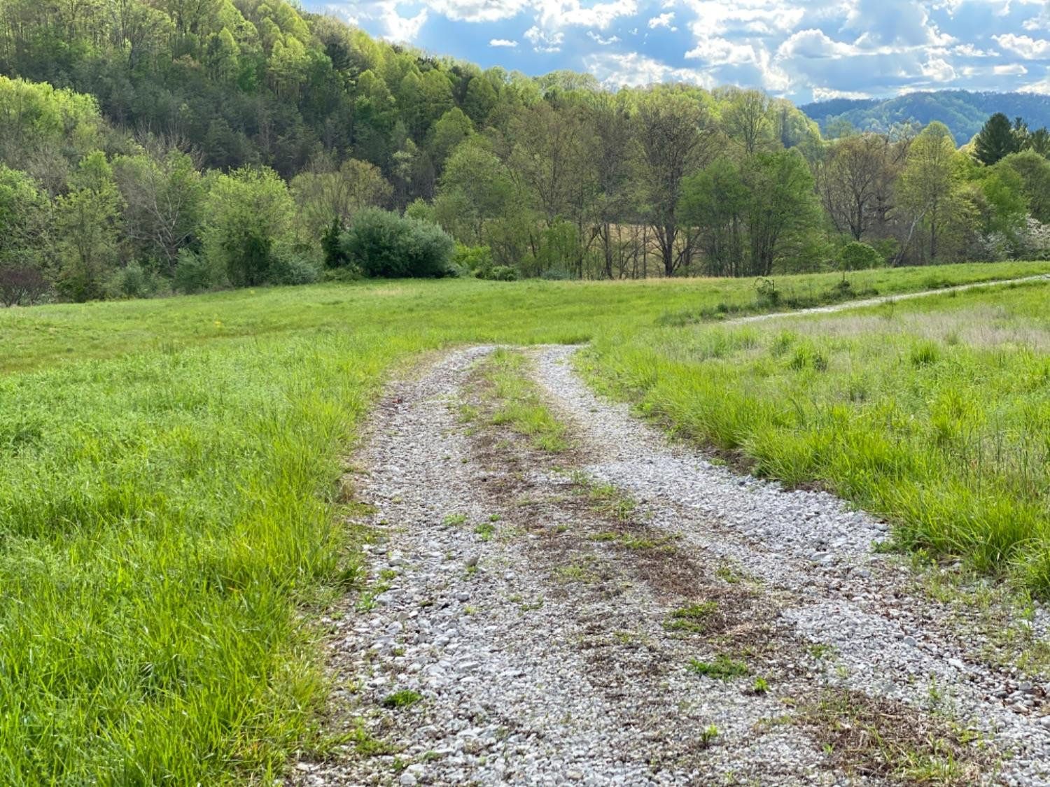 9999 Powell Branch Road Bimble, KY 40915 - Photo 12 of 15 Photo 12