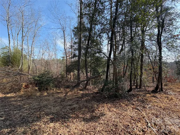 a view of backyard with green space
