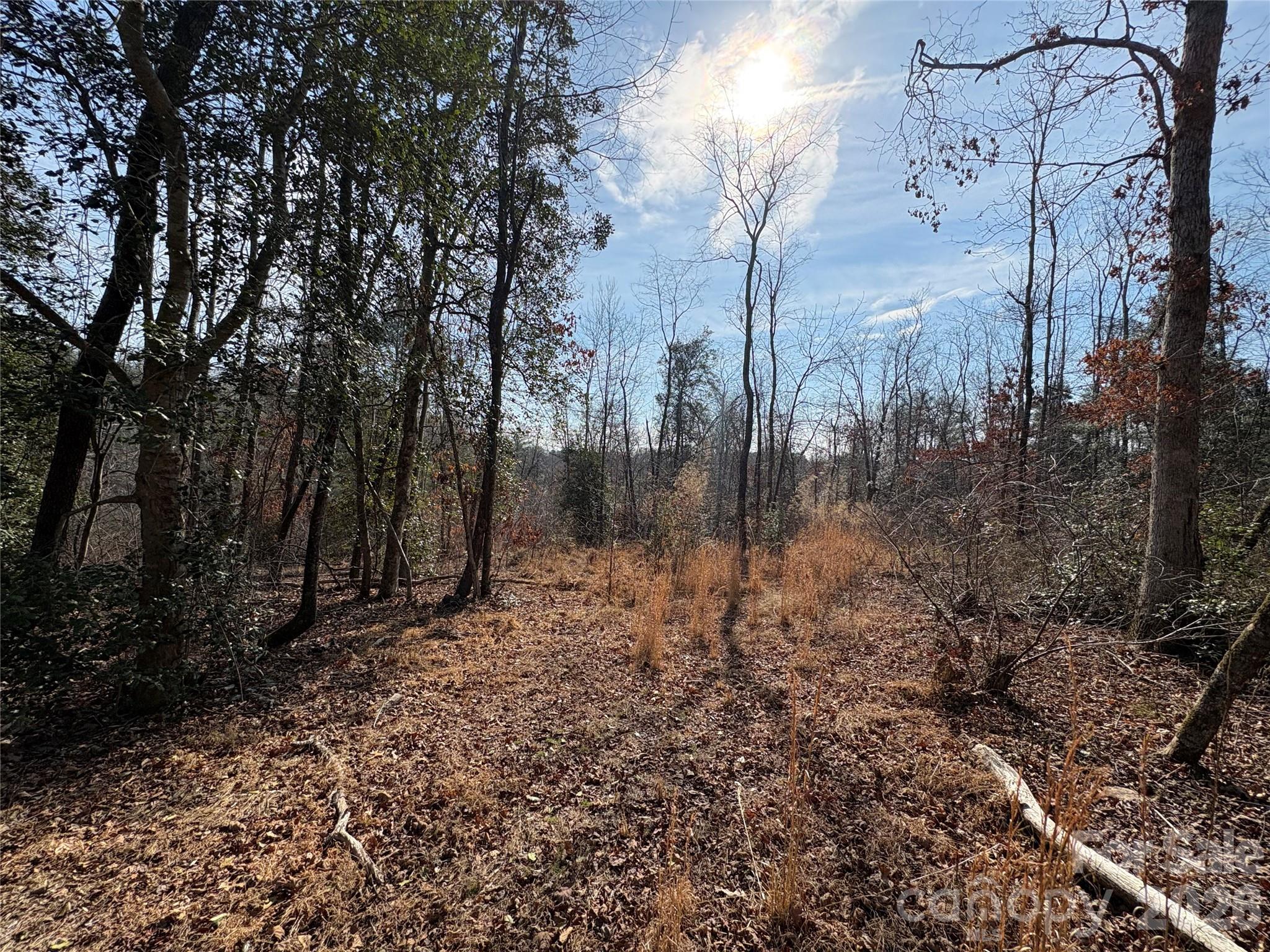 120 Shamrock Circle Road Hudson, NC 28638 - Photo 5 of 10 a backyard of a house with lots of green space