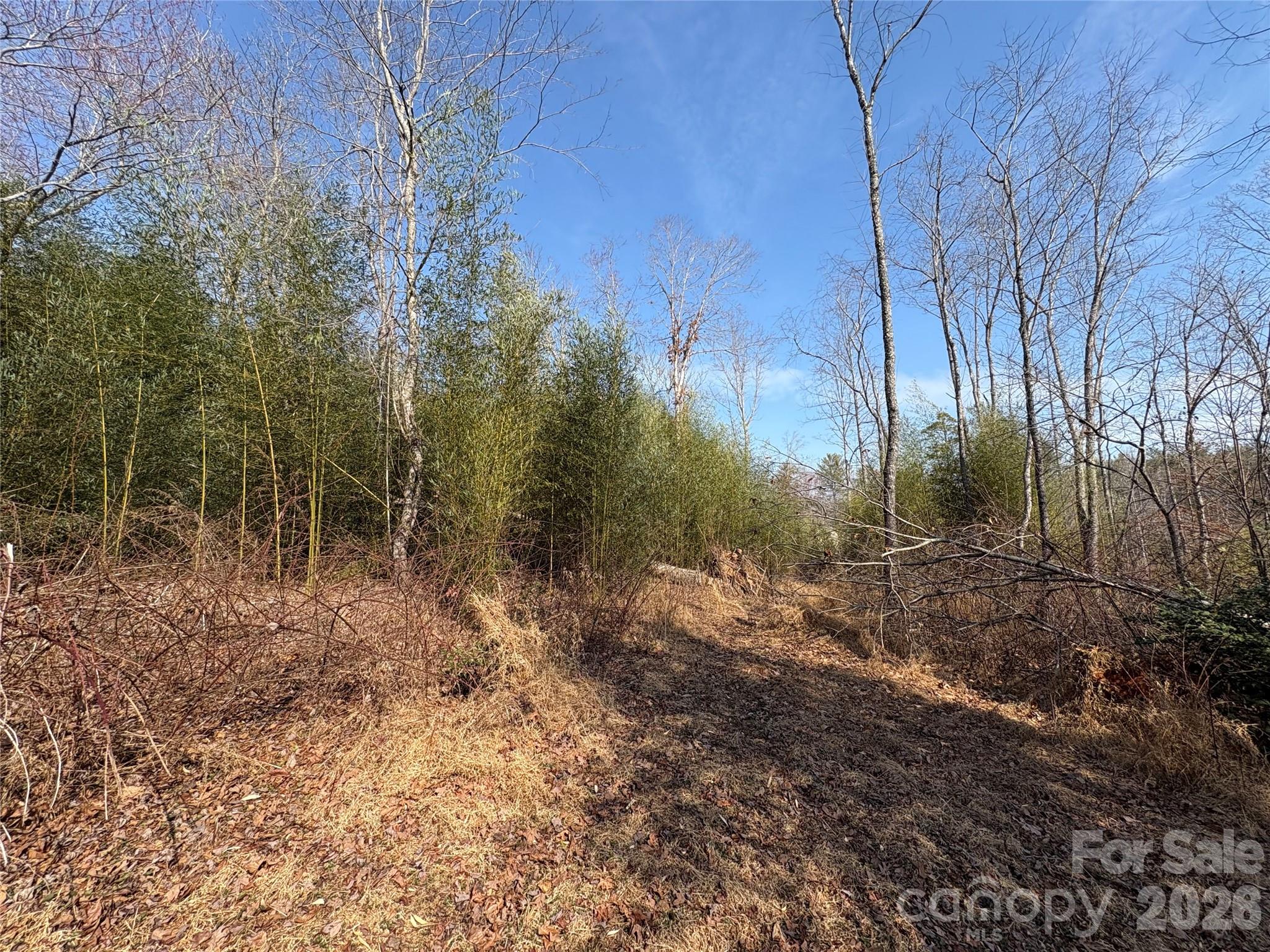 120 Shamrock Circle Road Hudson, NC 28638 - Photo 10 of 10 a view of an outdoor space with trees all around