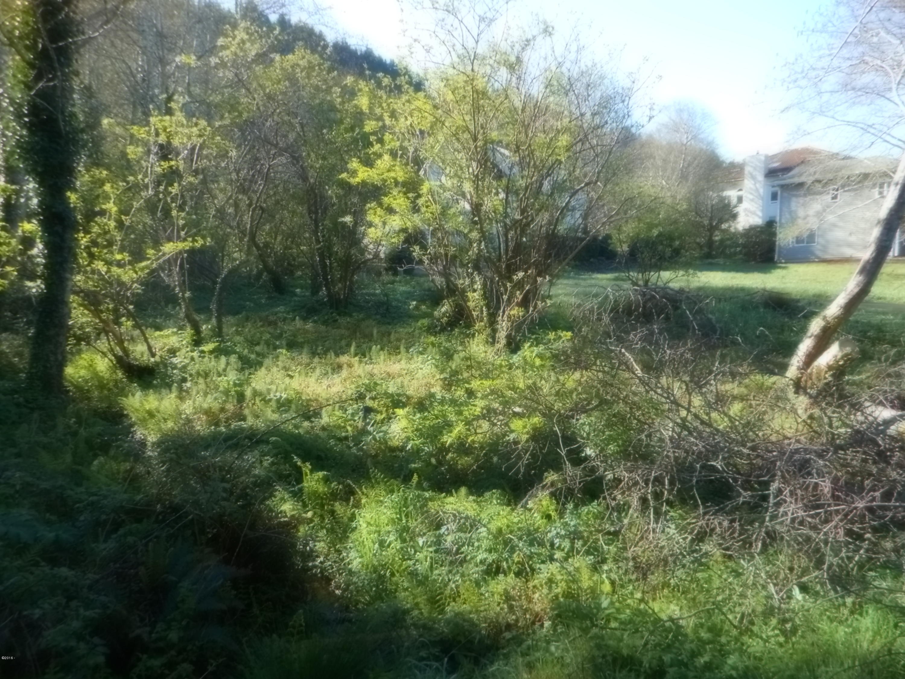 3600 Shell Street Yachats, OR 97498 - Photo 2 of 9 Undeveloped Lot
