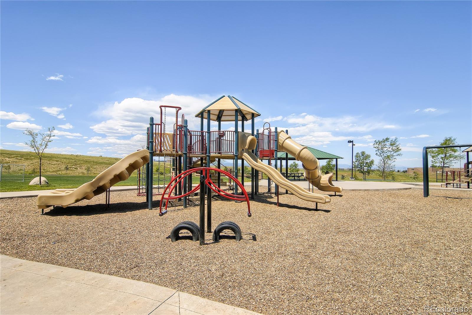 1505 Spring Water Way Highlands Ranch, CO 80129 - Photo 31 of 35