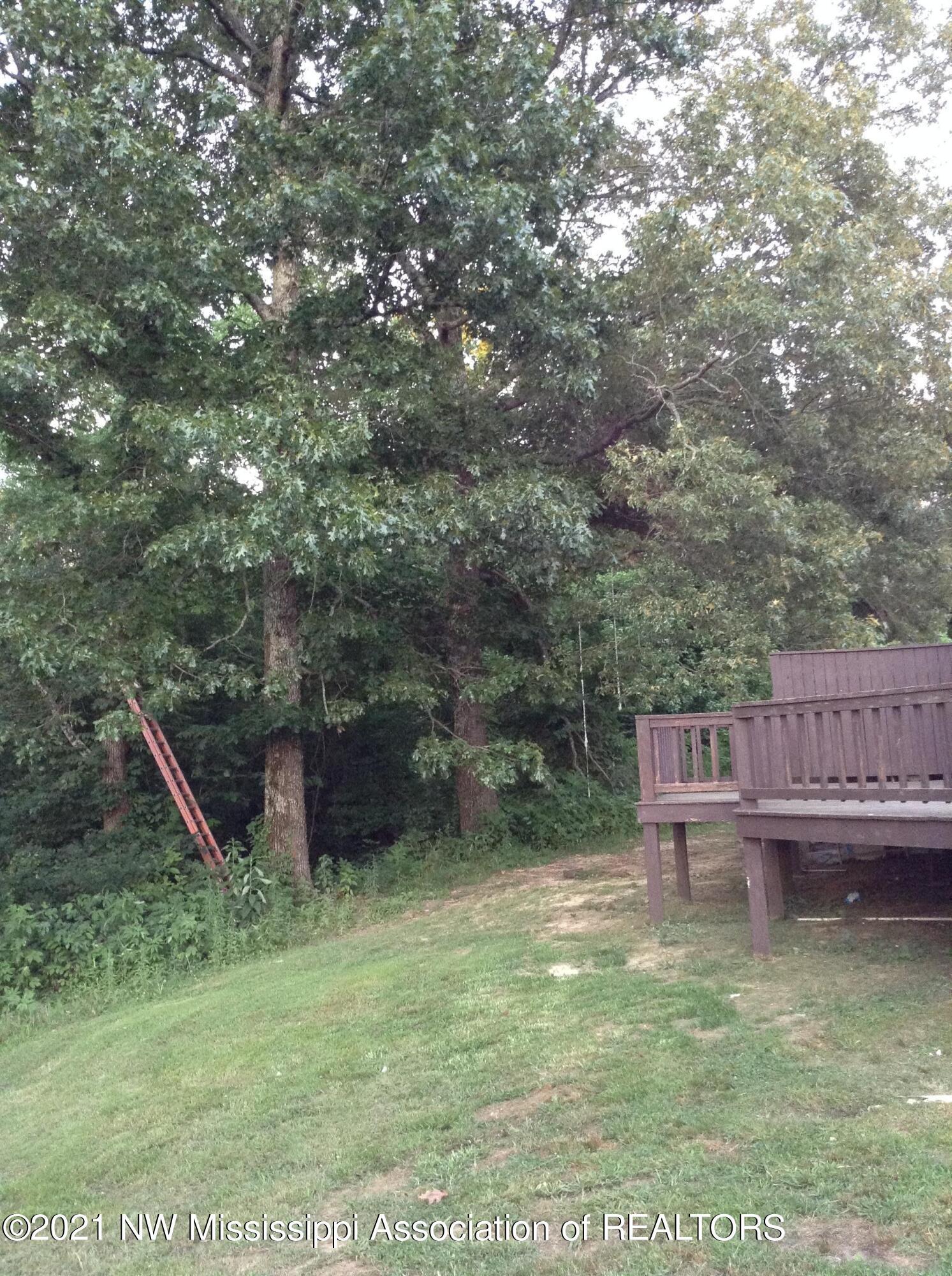 4886 Williams Road Hernando, MS 38632 - Photo 11 of 20 Back Yard View from Driveway