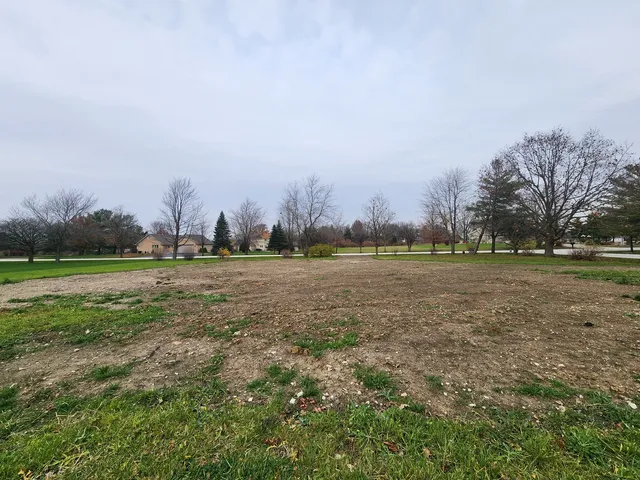 a view of field with trees in background
