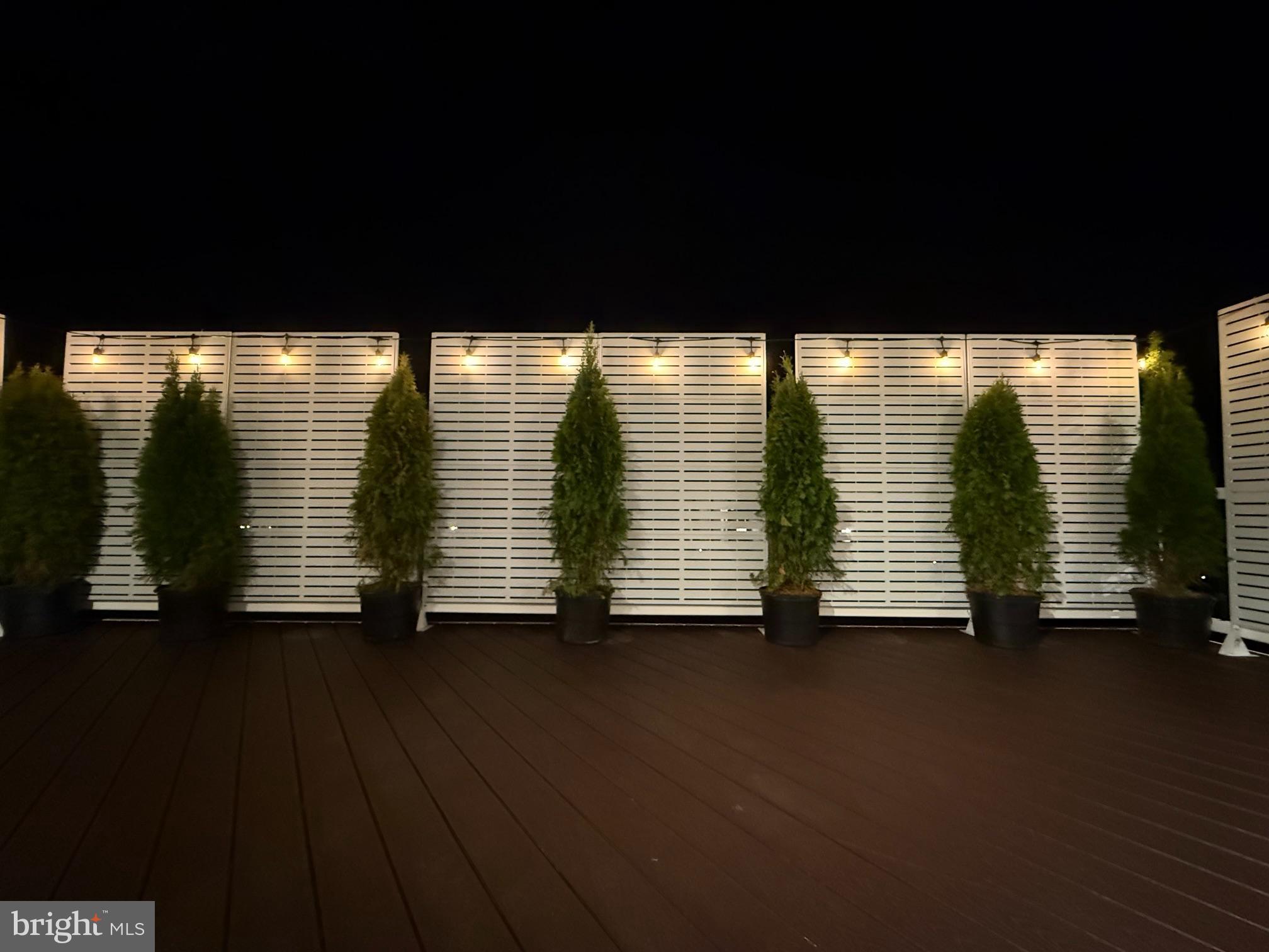117 Foreside Road Malvern, PA 19355 - Photo 68 of 71 String lights -By Night