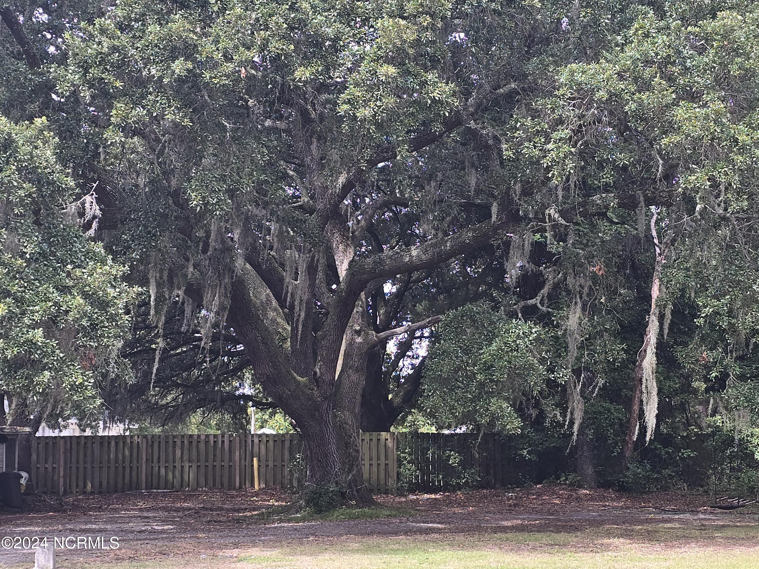 633 Piner Road Wilmington, NC 28409 - Photo 17 of 20 20240912_115702