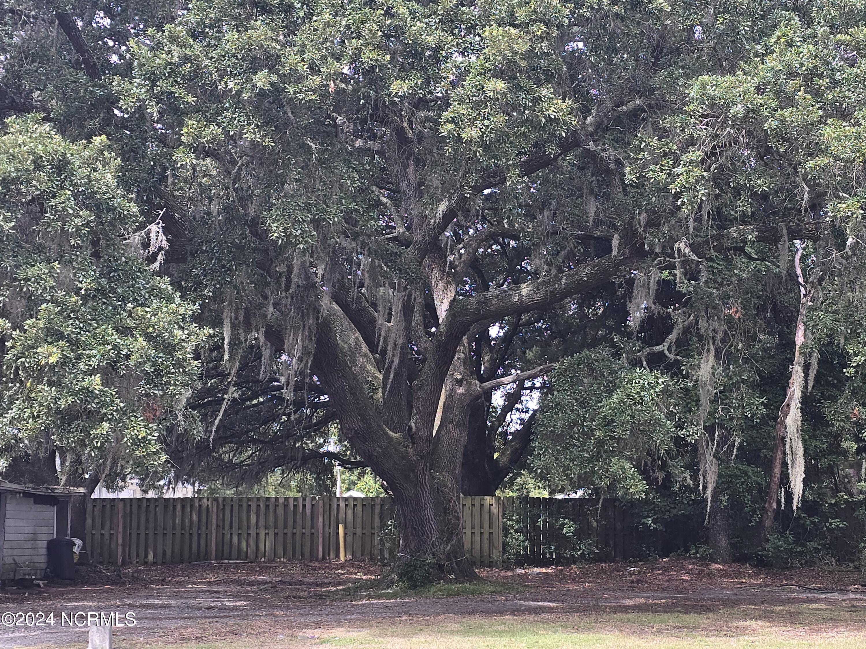 633 Piner Road Wilmington, NC 28409 - Photo 18 of 20 20240912_115704