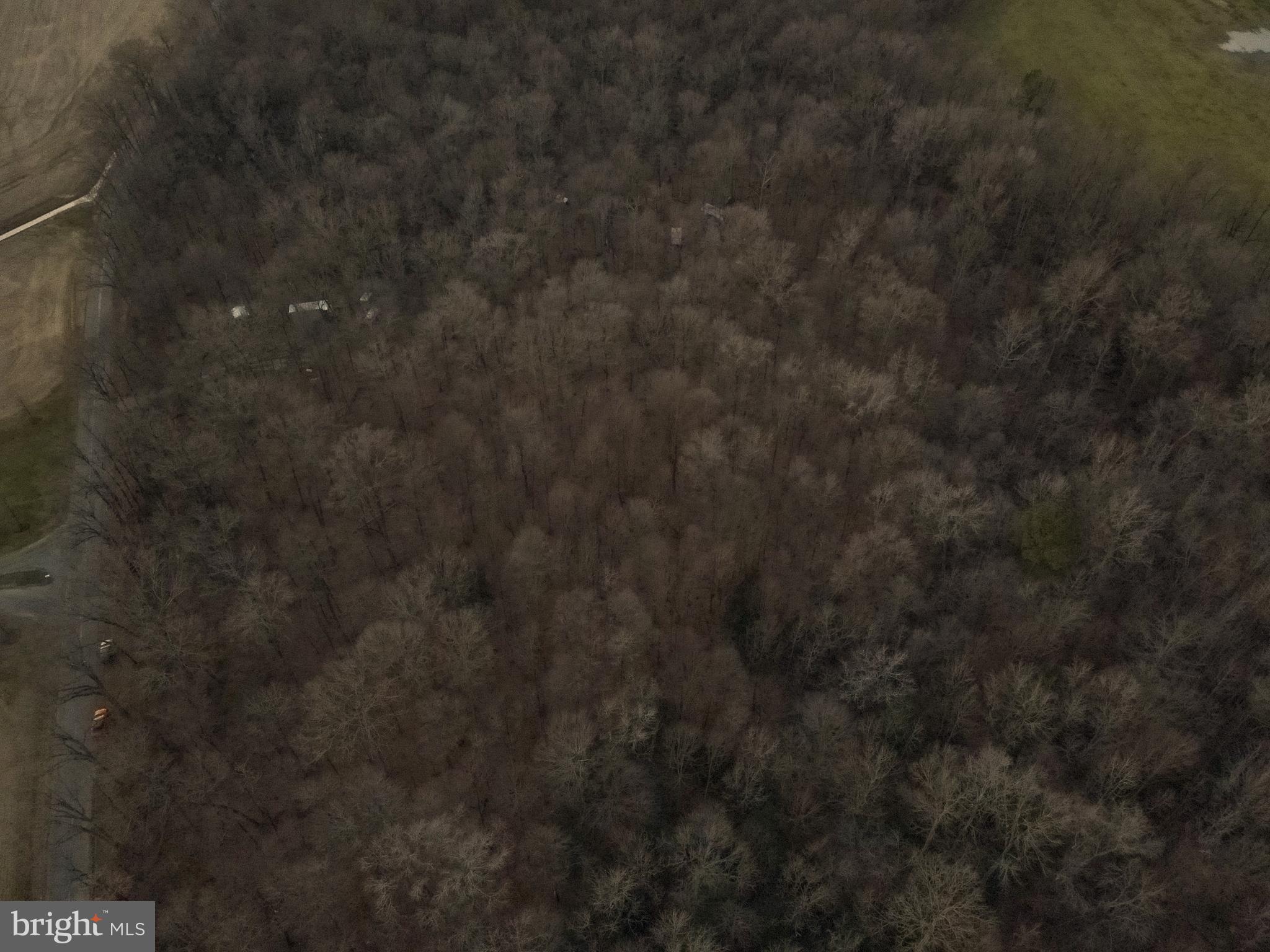 1 Hignutt Road Denton, MD 21629 - Photo 3 of 9