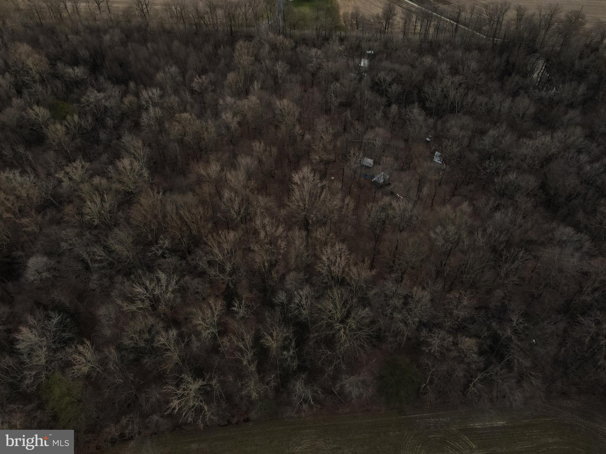 1 Hignutt Road Denton, MD 21629 - Photo 4 of 9