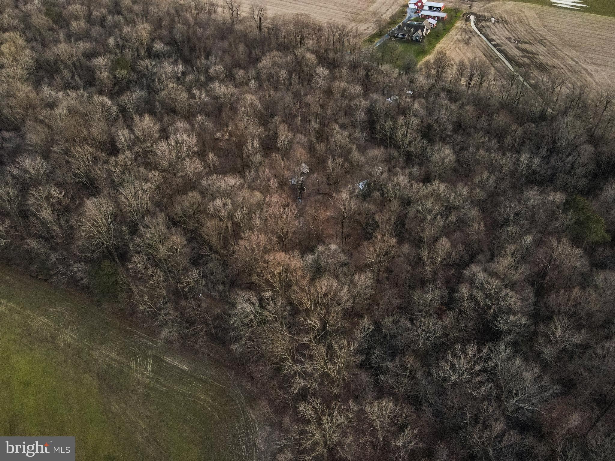 1 Hignutt Road Denton, MD 21629 - Photo 5 of 9