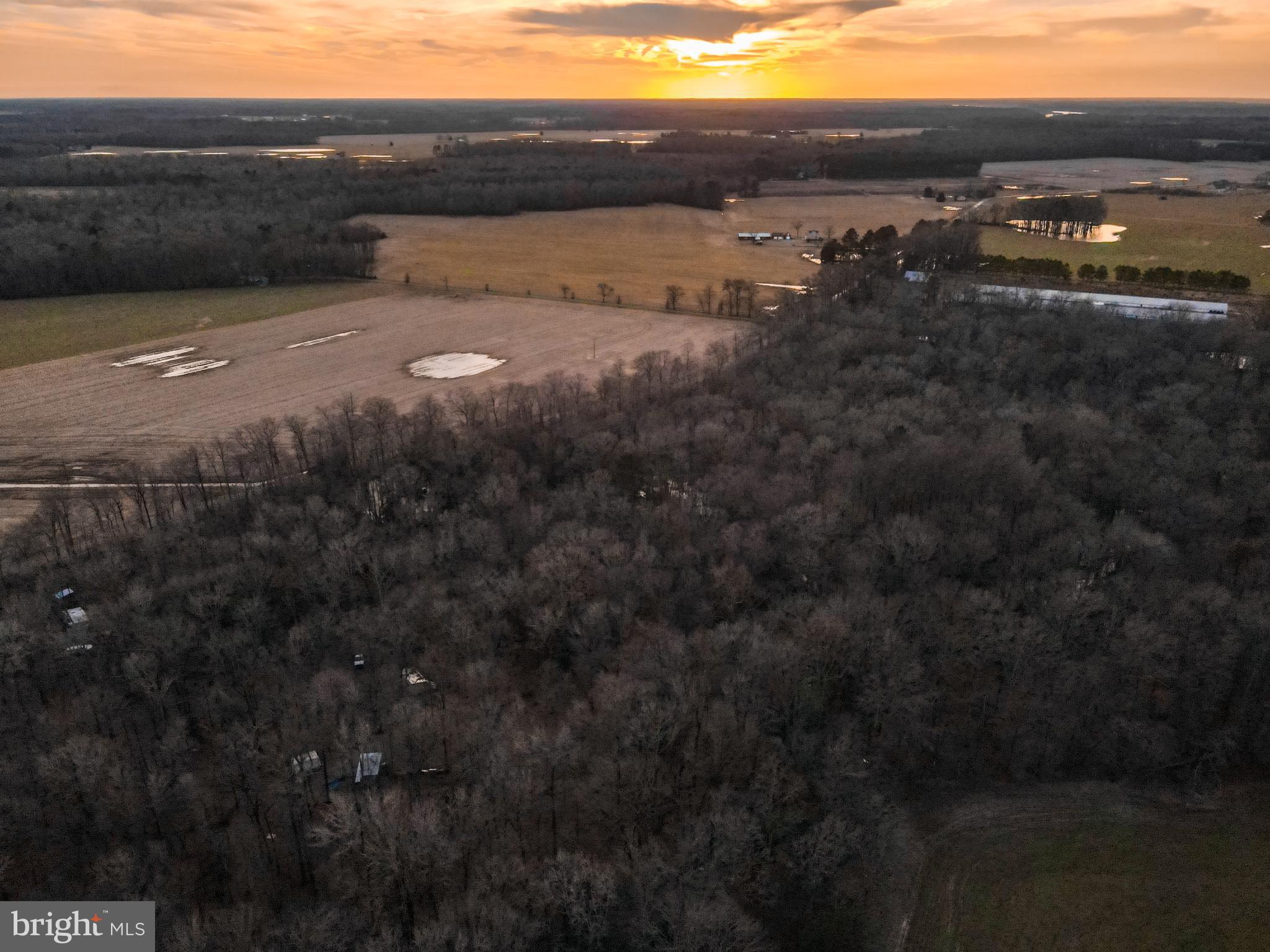 1 Hignutt Road Denton, MD 21629 - Photo 6 of 9